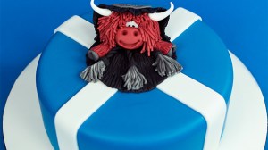 12036380_1664837753753596_307379055459618199_n