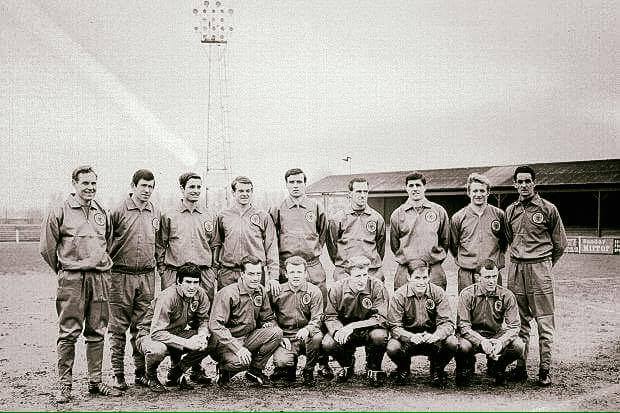 13619872_1250894621596284_4435687847954248606_n