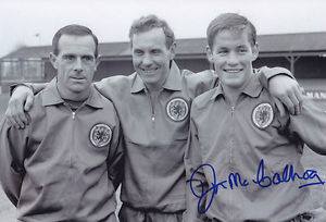 12802704_1719105221660182_6063743774824039169_n