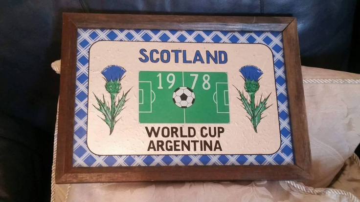 12953128_987170511330267_1057710836_o