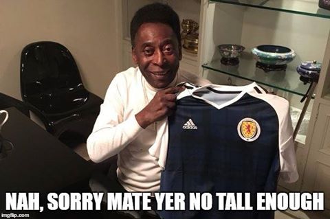 14729087_1813799285524108_4742145279989914502_n